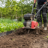 Beste tuinfrees