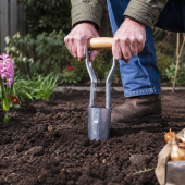 Beste bollenplanter