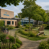 Waarom het grijze schoolplein stilaan verdwijnt uit Nederland