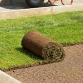 Duurzaam gazon aanleggen