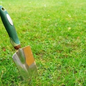 Dit moet je weten als je je tuin opnieuw gaat inrichten