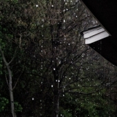 Een tuin die tegen een flinke regenbui kan zo pak je dat aan