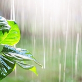 Meer doen met regenwater van een regenton naar een compleet regenwatersysteem