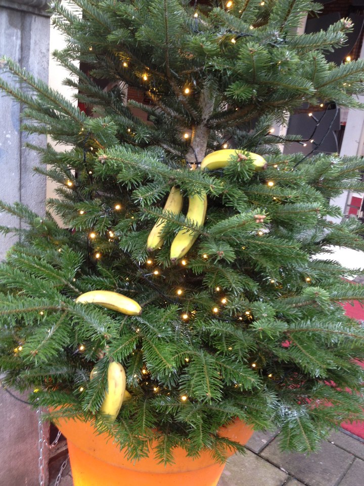 fair trade banaan rotterdam gemeente