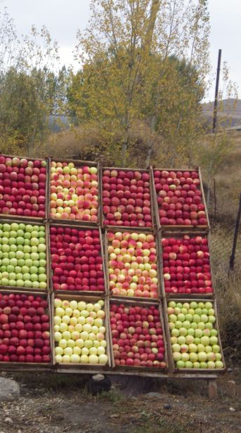 biologisch groente fruit turkije 30 000 duurzame kilometers