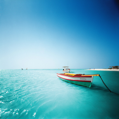 eco resort aruba