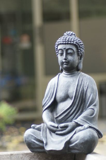 buddah zeninn de bosrand