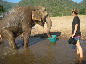 vrijwilligerswerk-thailand