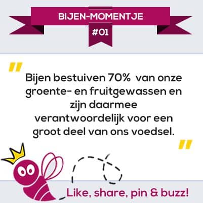 de-betere-wijn
