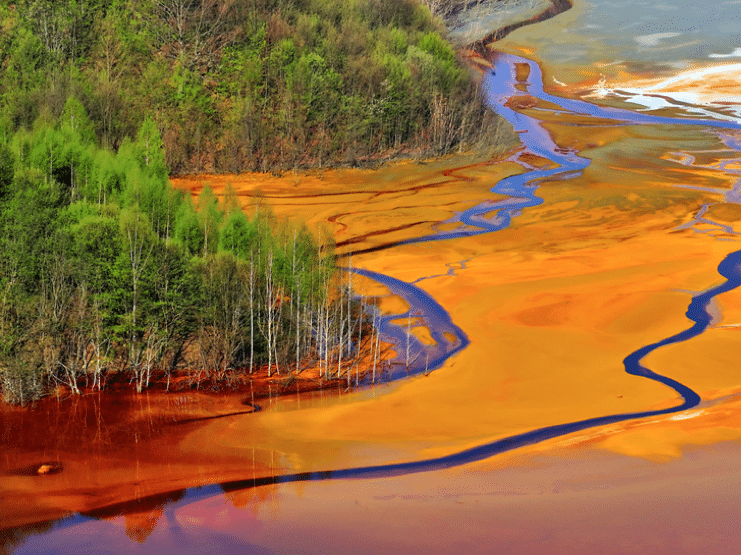greenpeace-detox