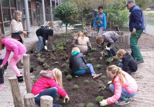 Duurzaam-GroeneSchoolpleinen