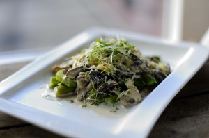 _JAN5247-Veggie-Sallad