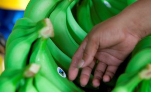 bananen_met_hand