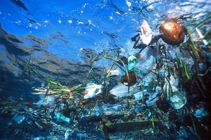 plastic