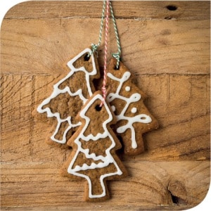 Kerstboom