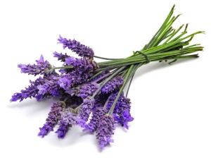 Lavendel aromed
