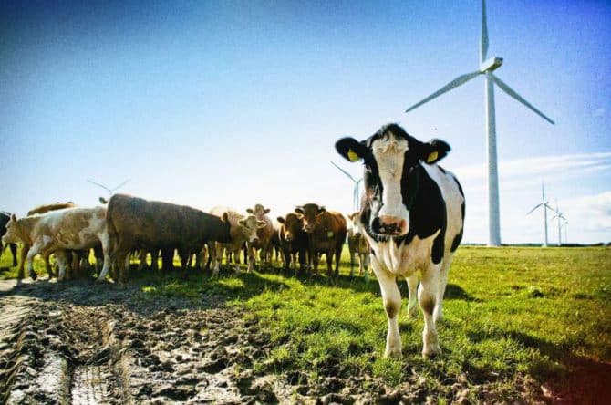 Duurzame energie
