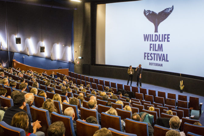 Wildlife Film Festival