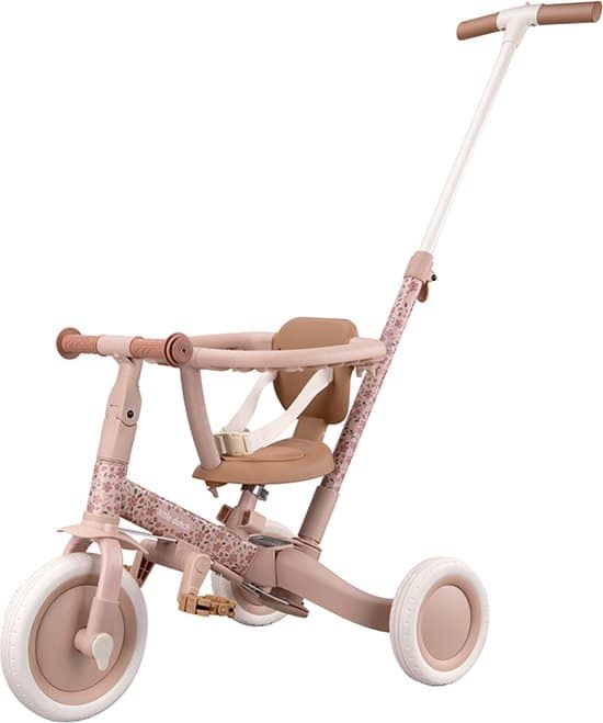 Little Dutch - 4 in 1 Driewieler Met Duwstang