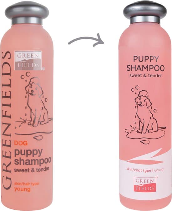 Greenfields Puppy