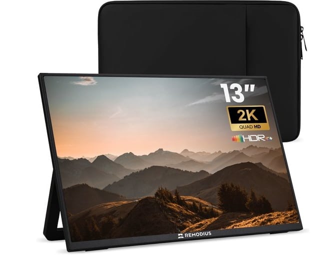 Remodius® Portable Monitor